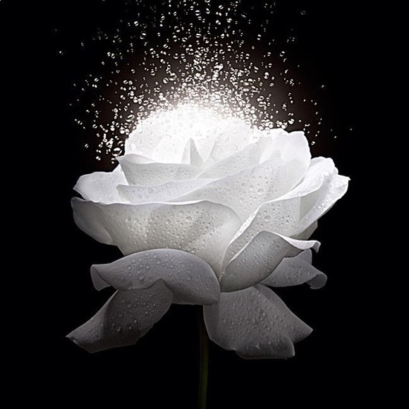 Please click to know more about me and my closet🤗 - Picture 16 of 16